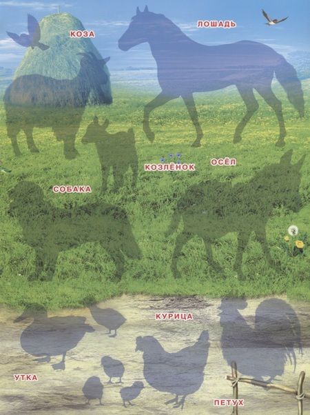 Фотография книги "Кто живет на ферме (мПозНакл)"