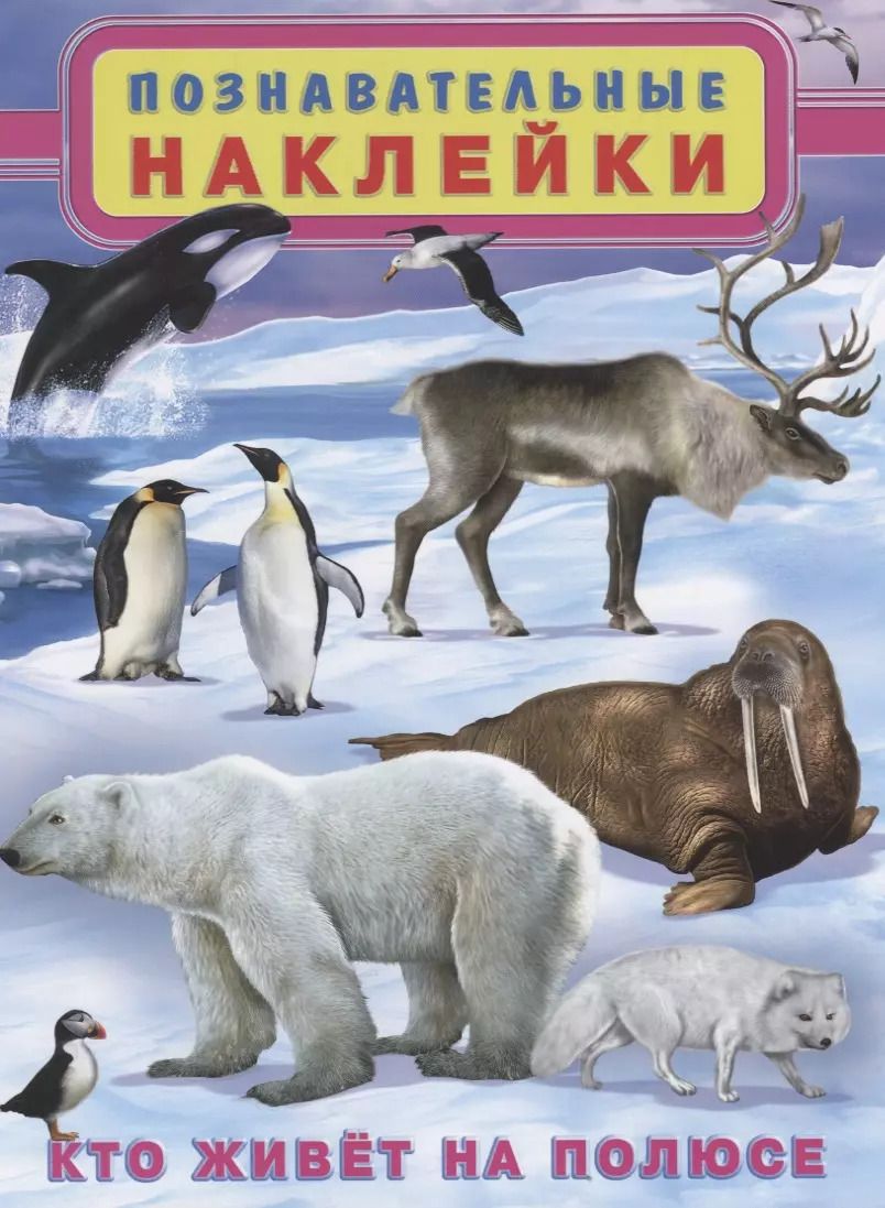 Обложка книги "Кто живет на полюсе (мПозНакл)"