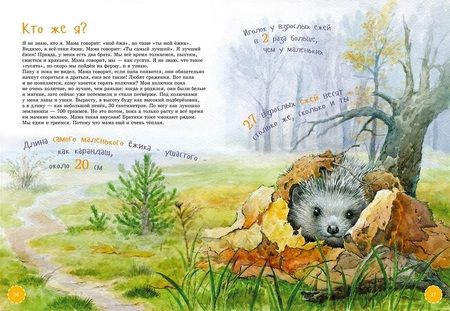 Фотография книги "Кучерская, Смехов, Акулова: Самые смелые животные. Энциклопеди"