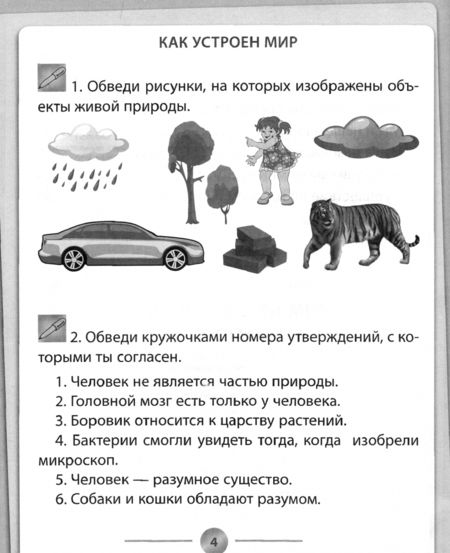 Фотография книги "Кучук: Окружающий мир. 3 класс. Тренажер. ФГОС"