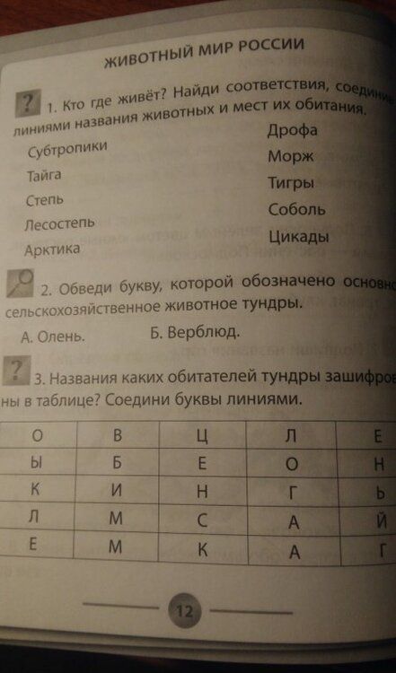 Фотография книги "Кучук, Цуканова: Окружающий мир. 4 класс. Тренажер. ФГОС"
