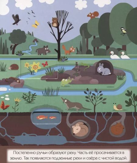 Фотография книги "Куда течет река?"