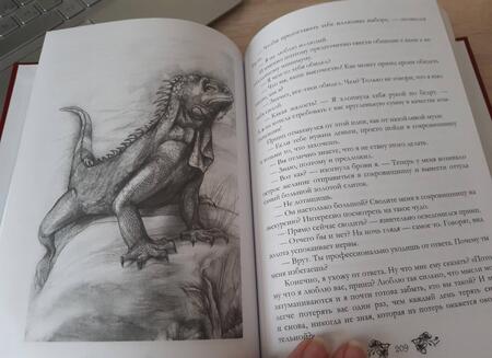 Фотография книги "Куно: Записки фаворитки Его Высочества"
