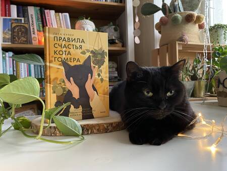 Фотография книги "Купер: Правила счастья кота Гомера. Трогательные приключения слепого кота и его хозяйки"
