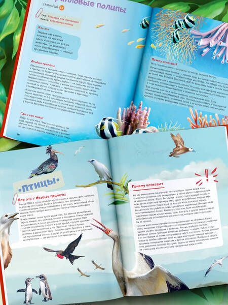 Фотография книги "Куприкова, Воронина, Кадетова: Красная книга планеты для детей. Редкие и исчезающие виды дикой природы"