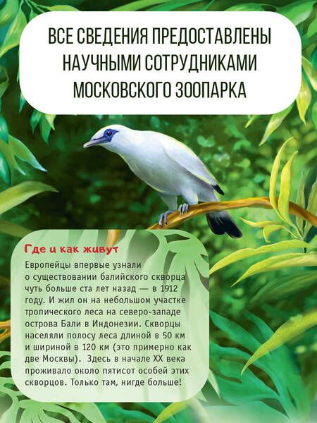 Фотография книги "Куприкова, Воронина, Кадетова: Красная книга планеты для детей. Редкие и исчезающие виды дикой природы"