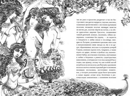 Фотография книги "Куприн: Суламифь"