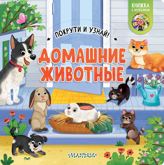 Обложка книги "Куракина: Домашние животные"