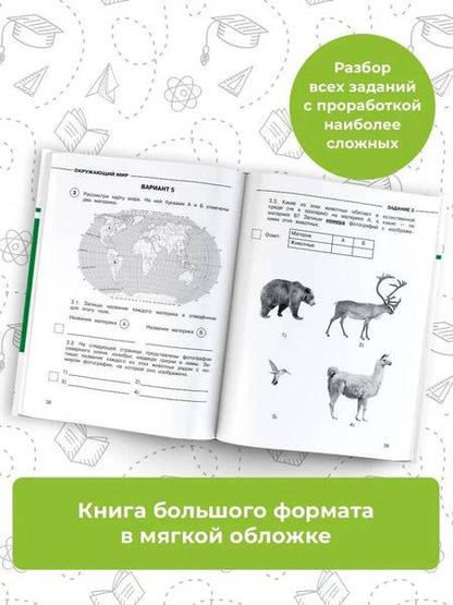 Фотография книги "Курчина: Окружающий мир. 4 класс. Суперсборник для подготовки к Всероссийским проверочным работам"