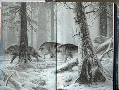 Фотография книги "Куц: Вор и убийца"