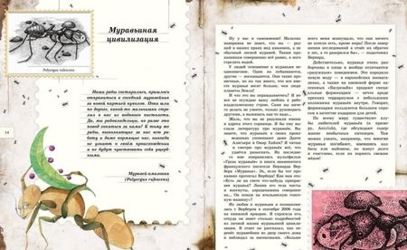 Фотография книги "Кувыкина: Письма насекомых"