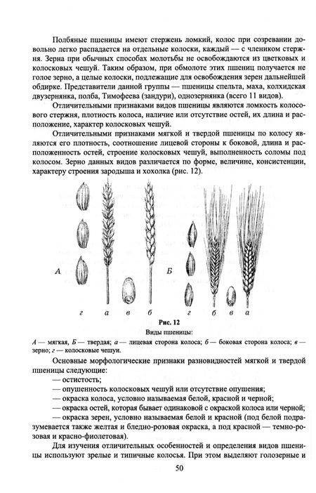 Фотография книги "Кузнецов, Даутова, Алимгафаров: Растениеводство. Практикум. Учебное пособие"