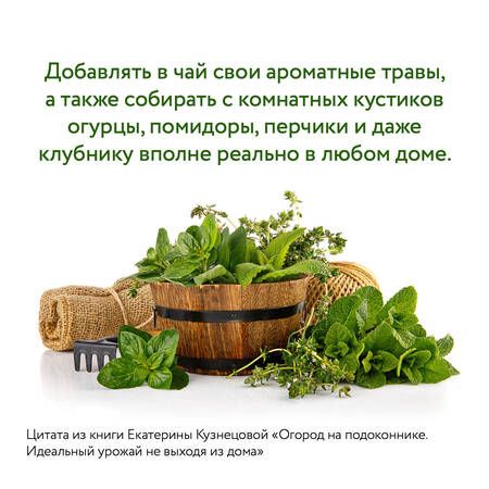 Фотография книги "Кузнецова: Огород на подоконнике. Идеальный урожай не выходя из дома"