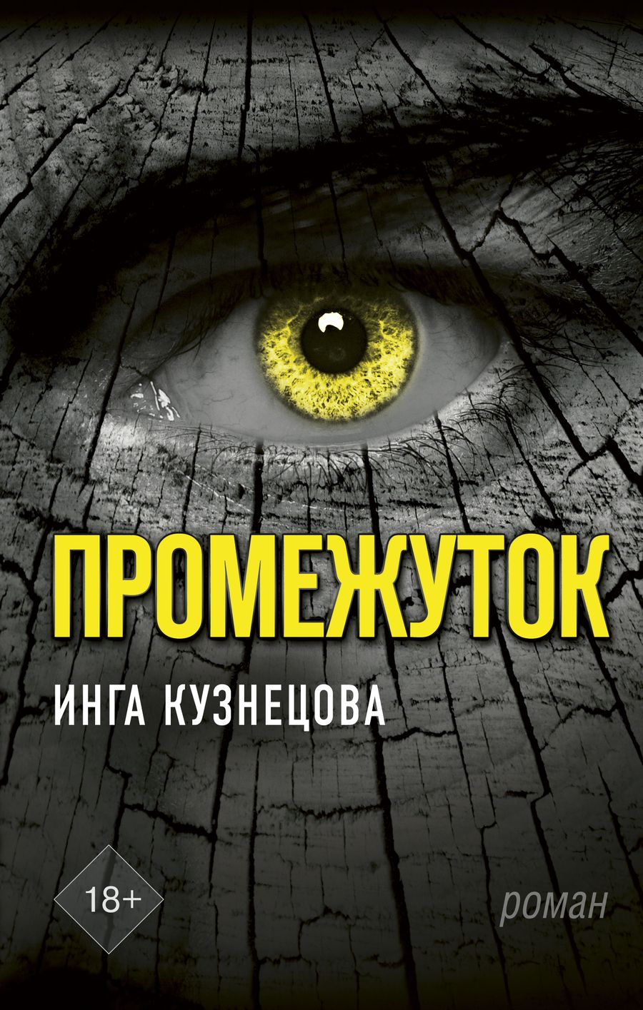 Обложка книги "Кузнецова: Промежуток"