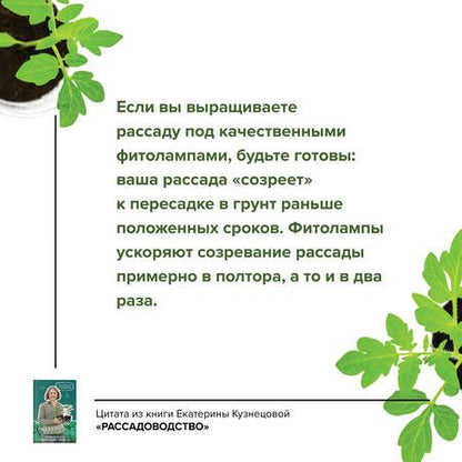 Фотография книги "Кузнецова: Рассадоводство. Первые шаги к здоровому урожаю"