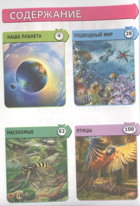 Фотография книги "Л. Бейтер: Отчего и почему? Занимательная энциклопедия"