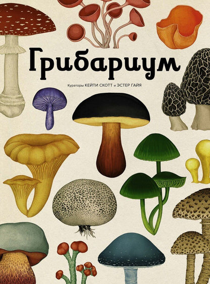 Обложка книги "Л., М., В., Лиматайнен: Грибариум"