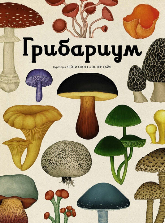 Обложка книги "Л., М., В., Лиматайнен: Грибариум"
