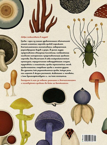 Фотография книги "Л., М., В., Лиматайнен: Грибариум"