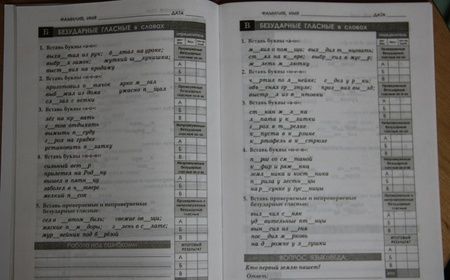 Фотография книги "Л. Тарасова: Многоуровневый определитель качества знаний по русскому языку. Начальная школа. ФГОС НОО"