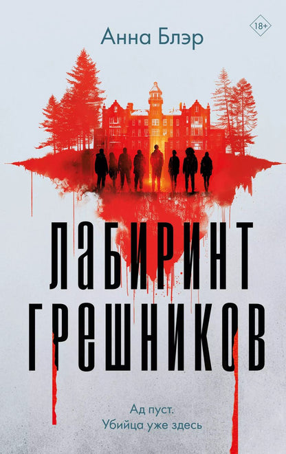 Обложка книги "Лабиринт грешников"