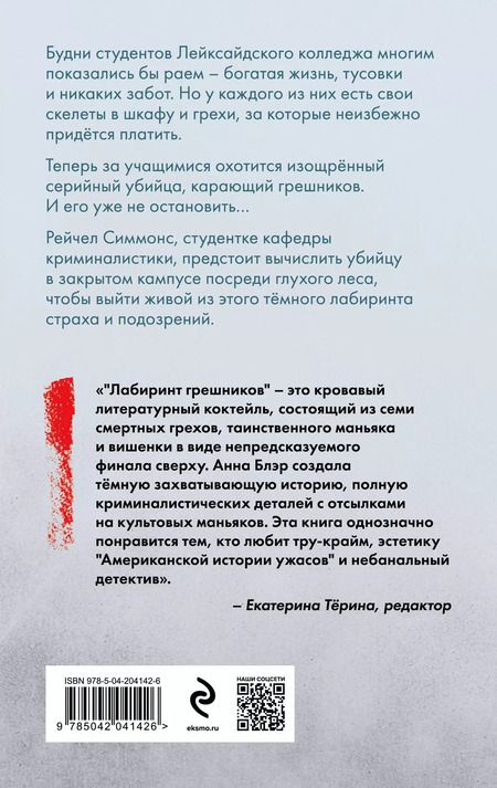 Фотография книги "Лабиринт грешников"