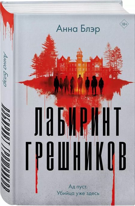 Фотография книги "Лабиринт грешников"