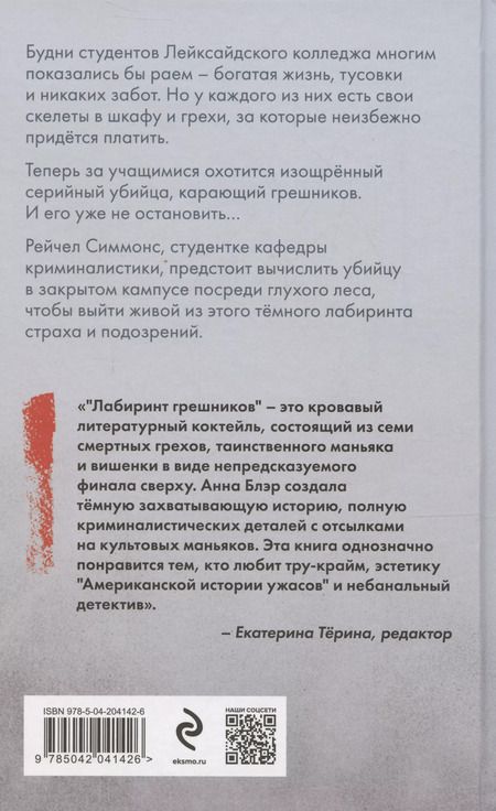 Фотография книги "Лабиринт грешников"