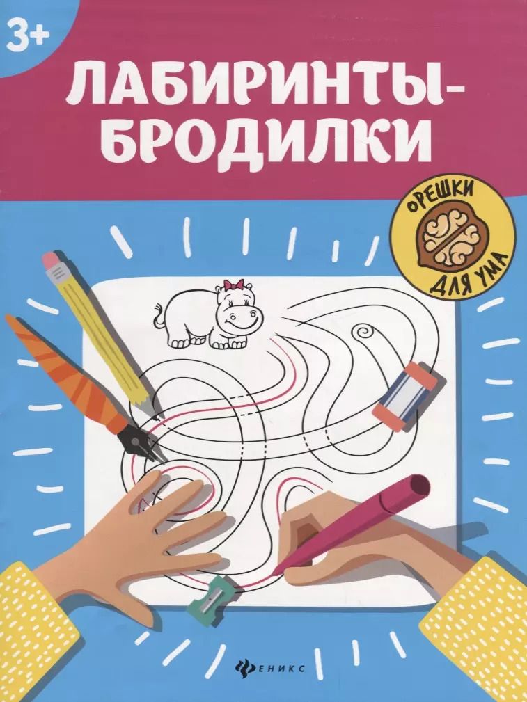 Обложка книги "Лабиринты-бродилки: 3+"