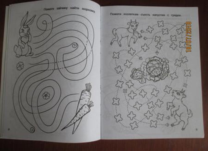 Фотография книги "Лабиринты-бродилки: 3+"