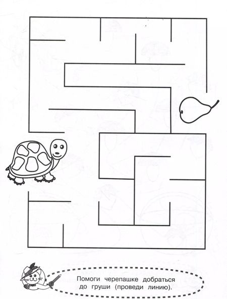 Фотография книги "Лабиринты и дорожки"