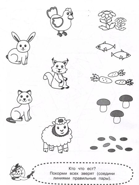 Фотография книги "Лабиринты и дорожки"