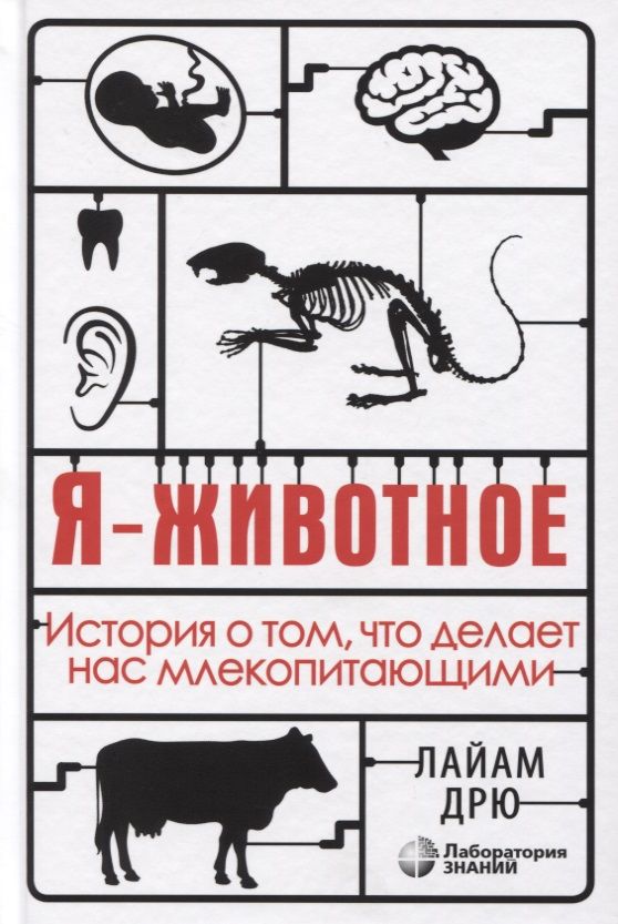 Обложка книги "Лайам Дрю: Я - животное. История о том, что делает нас млекопитающими"