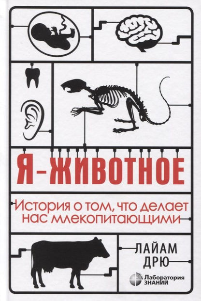 Обложка книги "Лайам Дрю: Я - животное. История о том, что делает нас млекопитающими"