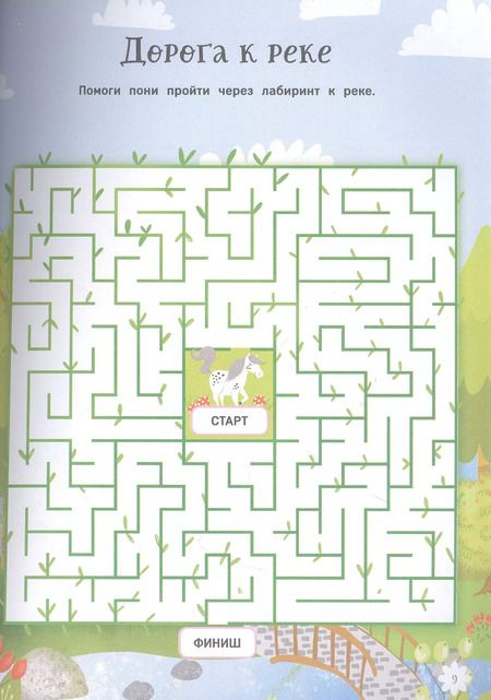 Фотография книги "Лайза Риган: Пони. Большая книга игр"