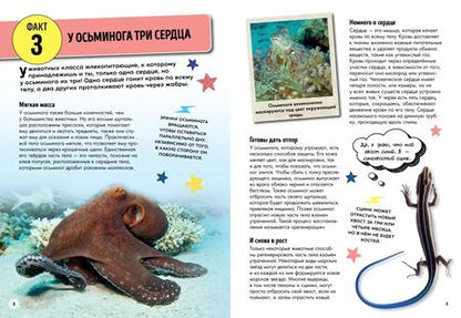 Фотография книги "Лайза Риган: Всё об окружающем мире с научной точки зрения"
