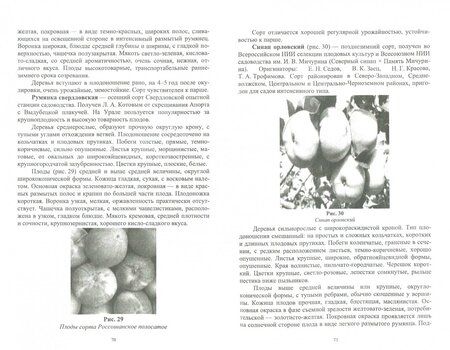 Фотография книги "Лактионов: Частное плодоводство. Семечковые культуры. Учебное пособие"