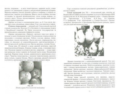 Фотография книги "Лактионов: Частное плодоводство. Семечковые культуры. Учебное пособие"