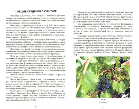 Фотография книги "Лактионов: Частное плодоводство. Виноград. Учебное пособие"
