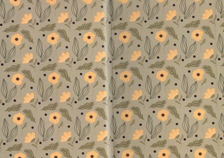 Фотография книги "Лана Широкова: Иномир и Мила"