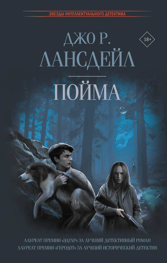 Обложка книги "Лансдейл: Пойма"