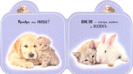 Фотография книги "Лапочки. Я всегда с тобой"