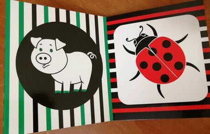 Фотография книги "Лапотушечка"