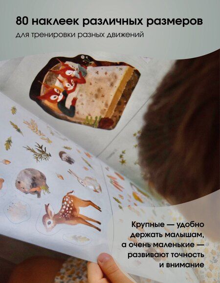 Фотография книги "Лариса А.: Развивающие наклейки "Малыш-бельчонок". 80 наклеек + раскраска"