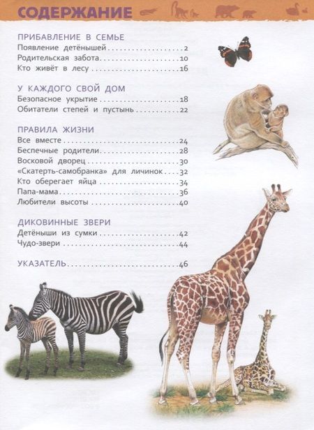 Фотография книги "Лариса Клюшник: Детеныши животных"