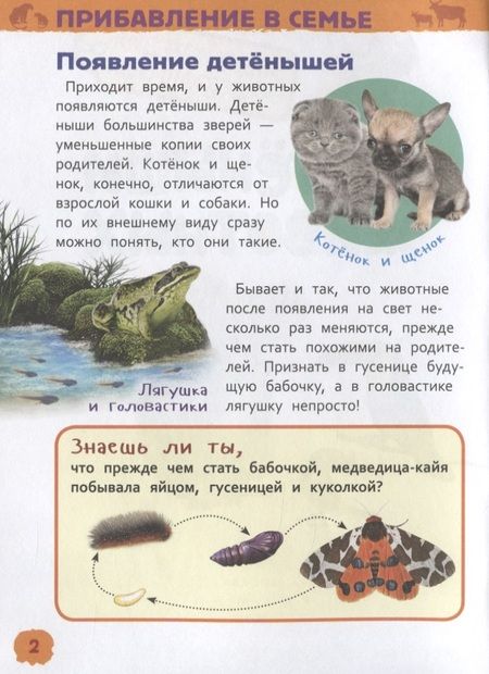 Фотография книги "Лариса Клюшник: Детеныши животных"