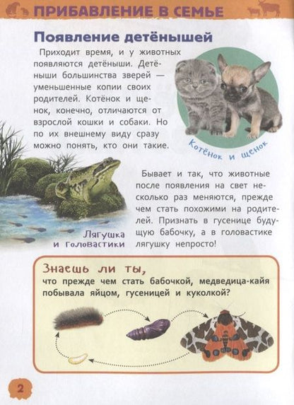 Фотография книги "Лариса Клюшник: Детеныши животных"