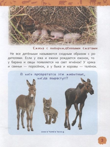 Фотография книги "Лариса Клюшник: Детеныши животных"
