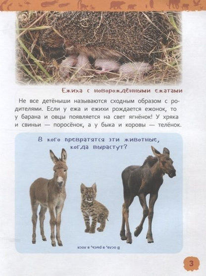 Фотография книги "Лариса Клюшник: Детеныши животных"