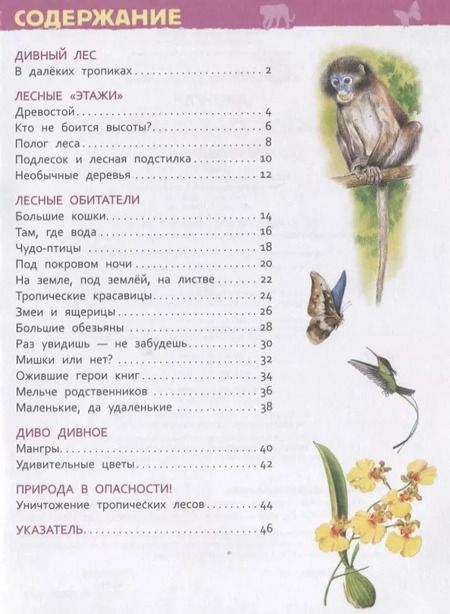 Фотография книги "Лариса Клюшник: Джунгли"